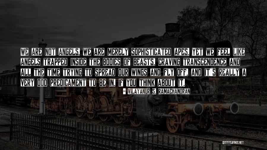 Time For Me To Fly Quotes By Vilayanur S. Ramachandran Time For Me To Fly Quotes By Vilayanur S. Ramachandran