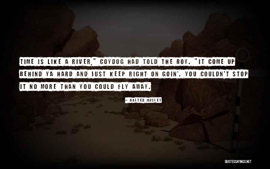 Time For Me To Fly Quotes By Walter Mosley Time For Me To Fly Quotes By Walter Mosley