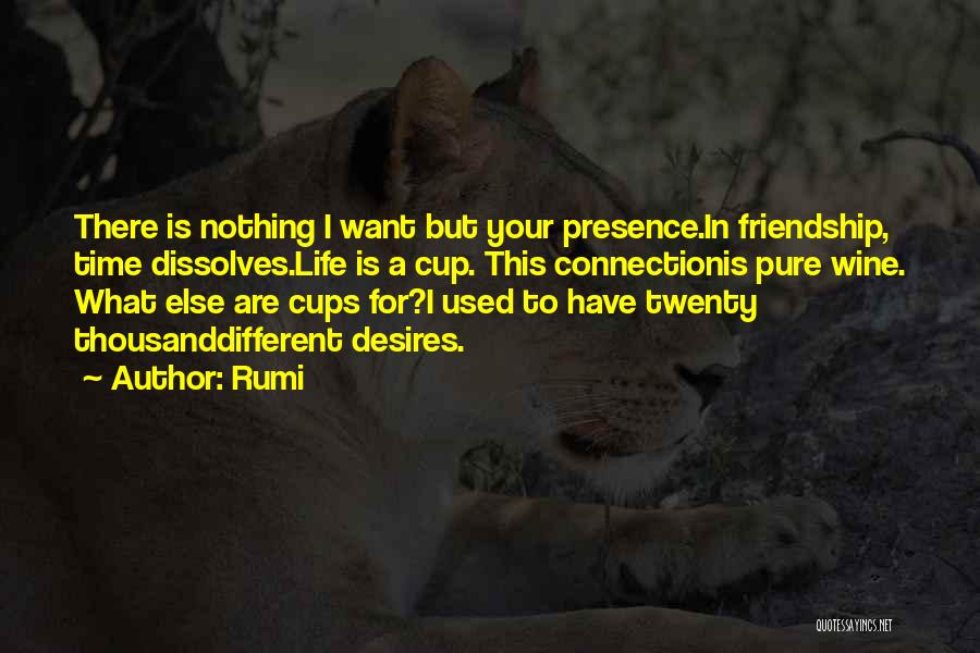 Time Friendship Quotes By Rumi