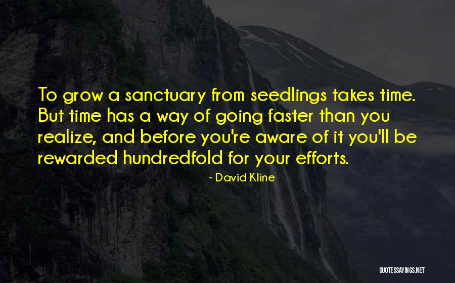 Time Going Faster Quotes By David Kline