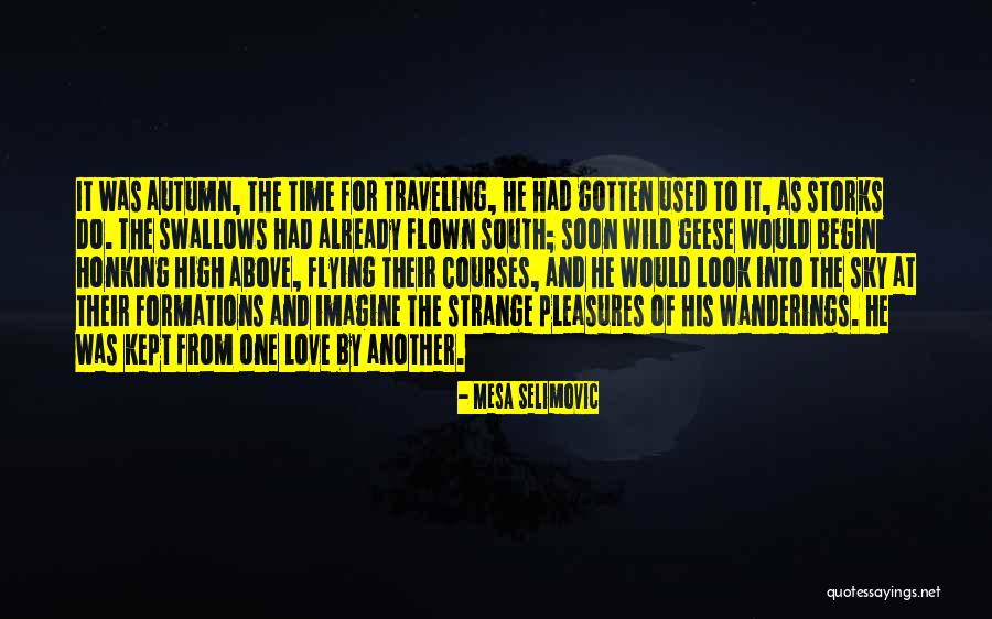 Time Has Flown Quotes By Mesa Selimovic Time Has Flown Quotes By Mesa Selimovic