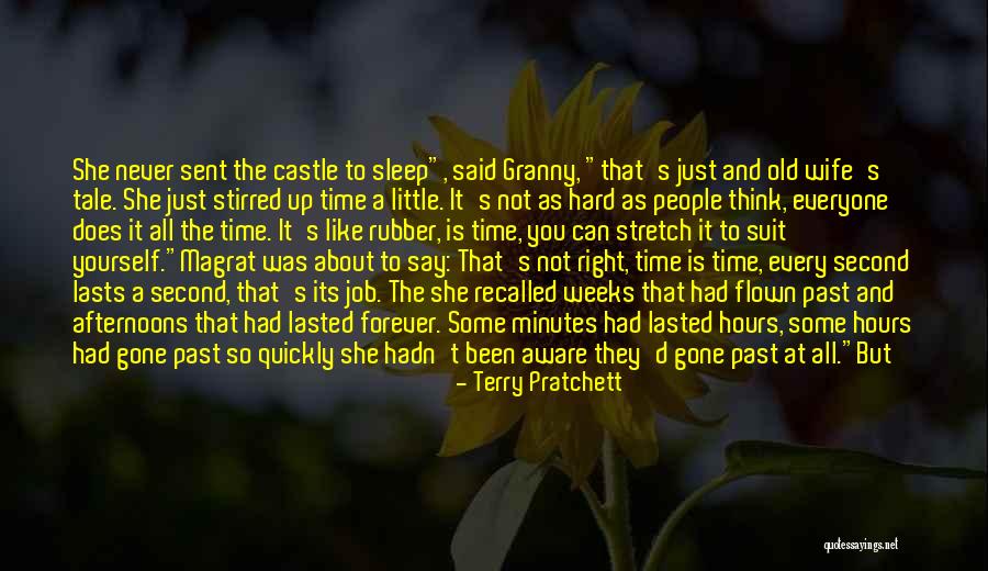 Time Has Flown Quotes By Terry Pratchett Time Has Flown Quotes By Terry Pratchett