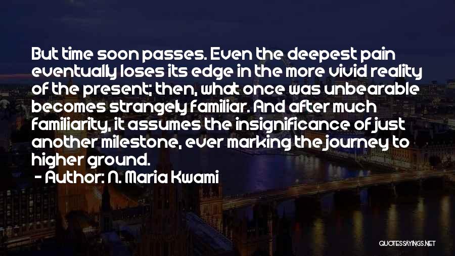 Time Healing Grief Quotes By N. Maria Kwami