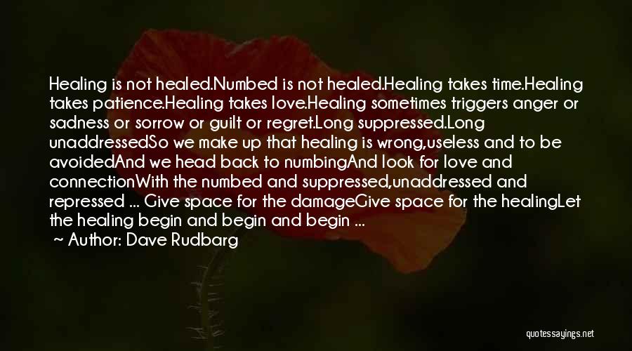 Time Healing Love Quotes By Dave Rudbarg