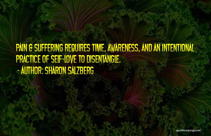 Time Healing Love Quotes By Sharon Salzberg