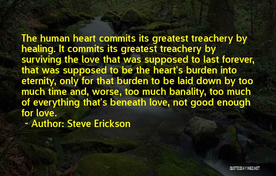 Time Healing Love Quotes By Steve Erickson