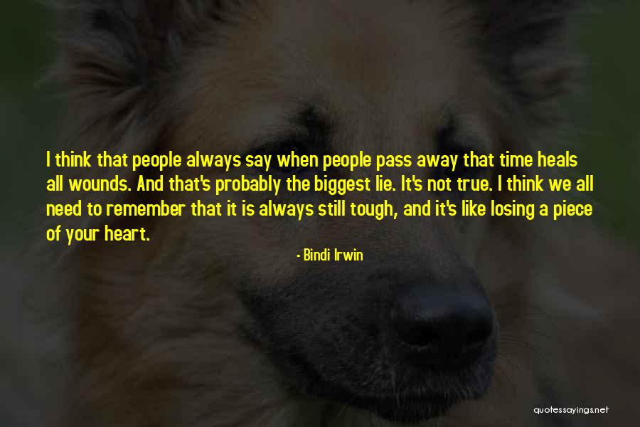 Time Heals All Wounds Quotes By Bindi Irwin Time Heals All Wounds Quotes By Bindi Irwin
