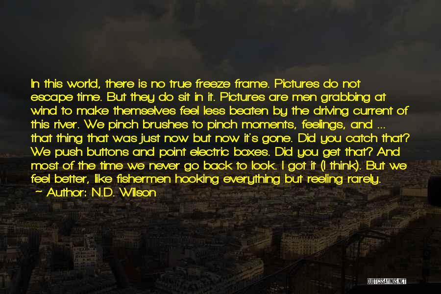 Time Is Gone Quotes By N.D. Wilson