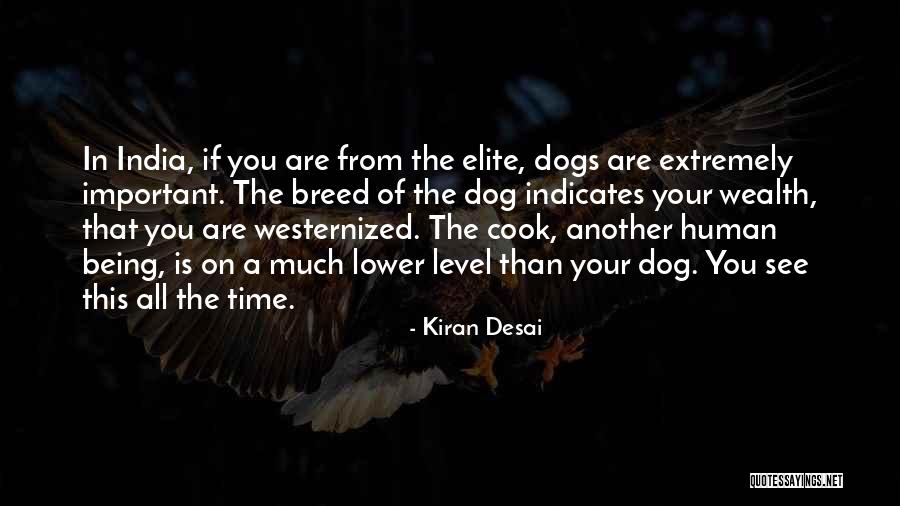 Time Is Important Quotes By Kiran Desai Time Is Important Quotes By Kiran Desai