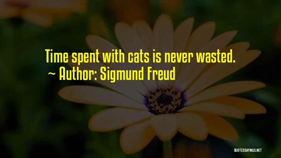 Time Is Never Wasted Quotes By Sigmund Freud