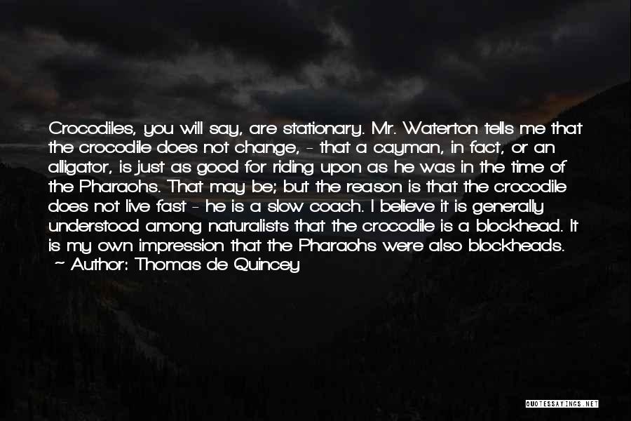 Time Is Not Good For Me Quotes By Thomas De Quincey