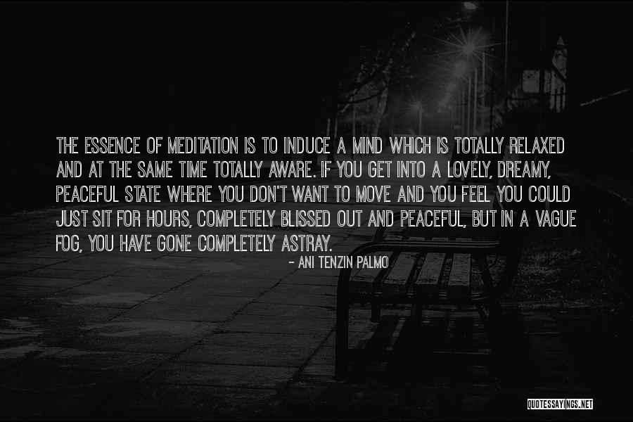 Time Is Of The Essence Quotes By Ani Tenzin Palmo Time Is Of The Essence Quotes By Ani Tenzin Palmo