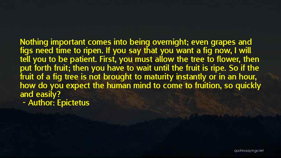 Time Is Ripe Quotes By Epictetus