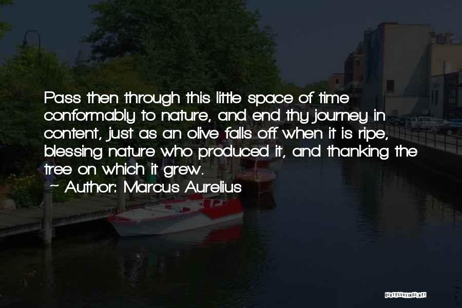 Time Is Ripe Quotes By Marcus Aurelius