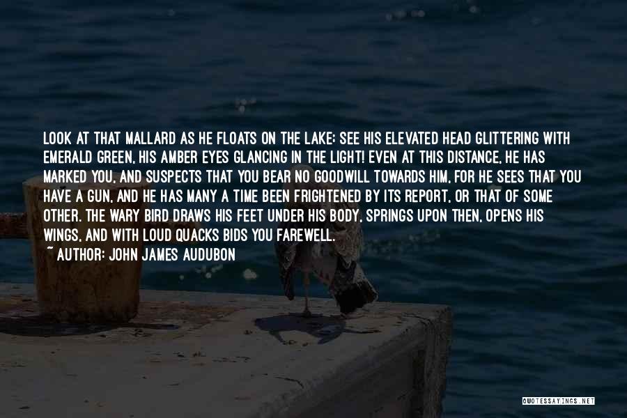 Time John Green Quotes By John James Audubon