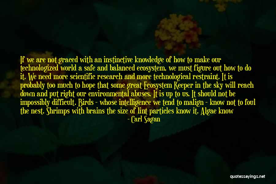 Time Keeper Quotes By Carl Sagan Time Keeper Quotes By Carl Sagan