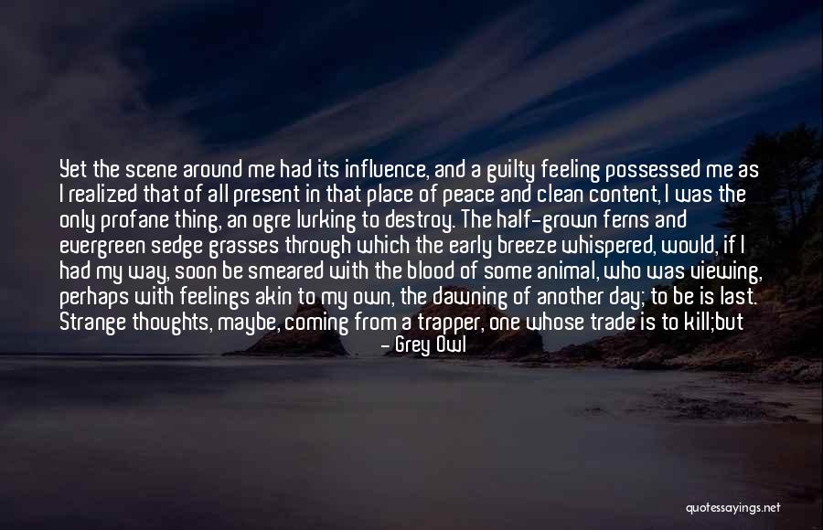 Time Killing Me Quotes By Grey Owl Time Killing Me Quotes By Grey Owl