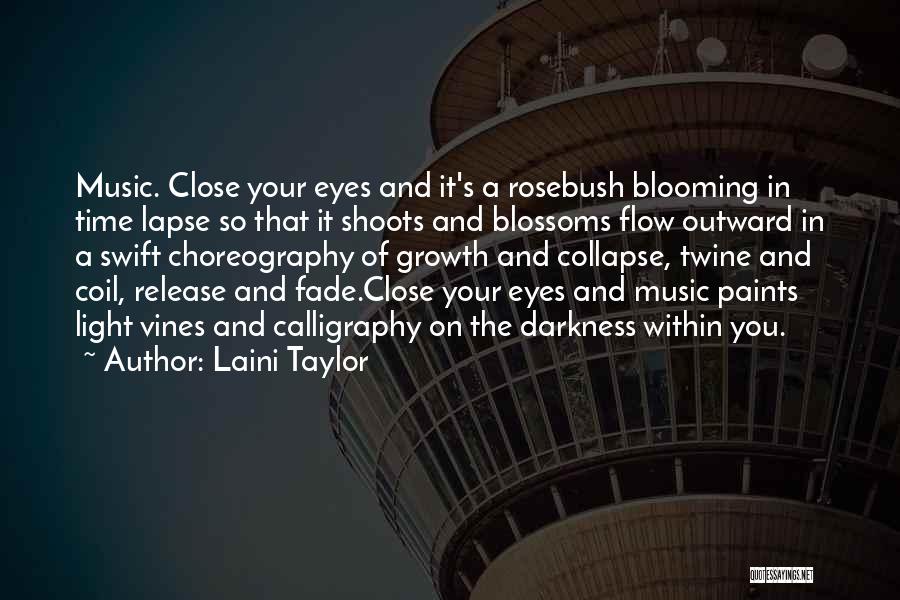 Time Lapse Quotes By Laini Taylor