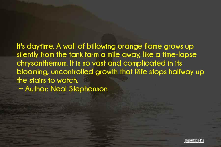 Time Lapse Quotes By Neal Stephenson