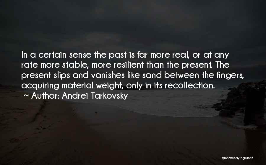 Time Like Sand Quotes By Andrei Tarkovsky