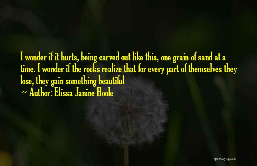 Time Like Sand Quotes By Elissa Janine Hoole