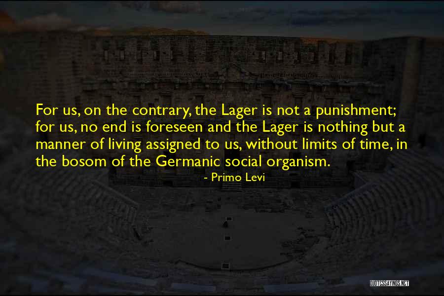 Time Limits Quotes By Primo Levi