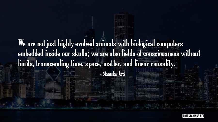 Time Limits Quotes By Stanislav Grof