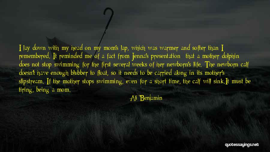 Time Must Have A Stop Quotes By Ali Benjamin Time Must Have A Stop Quotes By Ali Benjamin