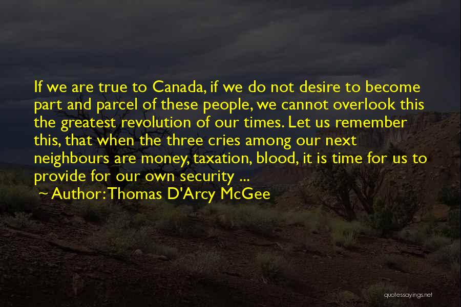 Time Not Money Quotes By Thomas D'Arcy McGee