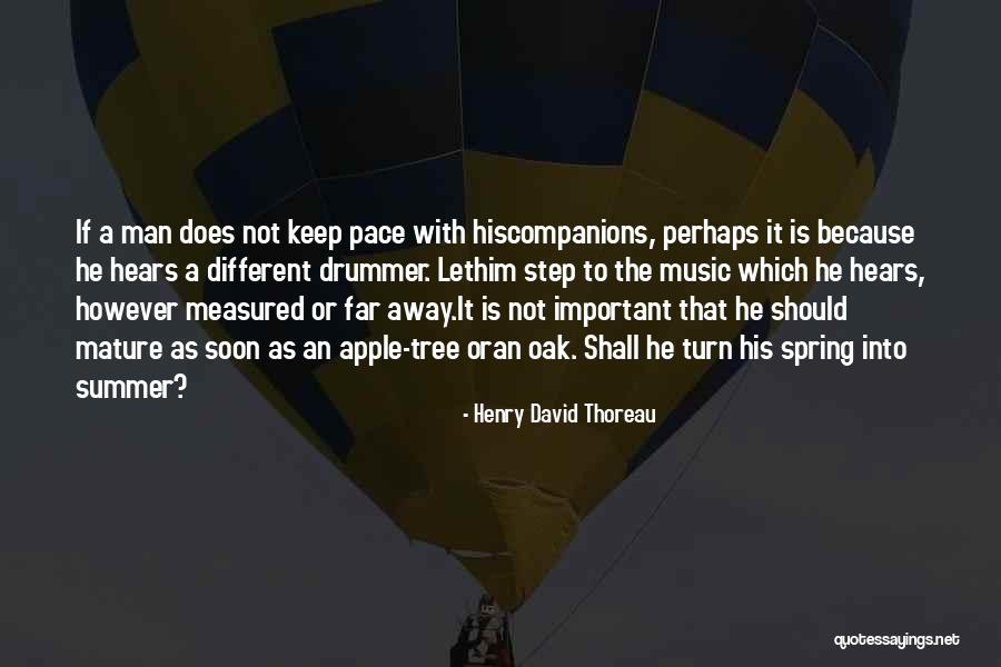 Time Of The Fireflies Quotes By Henry David Thoreau Time Of The Fireflies Quotes By Henry David Thoreau