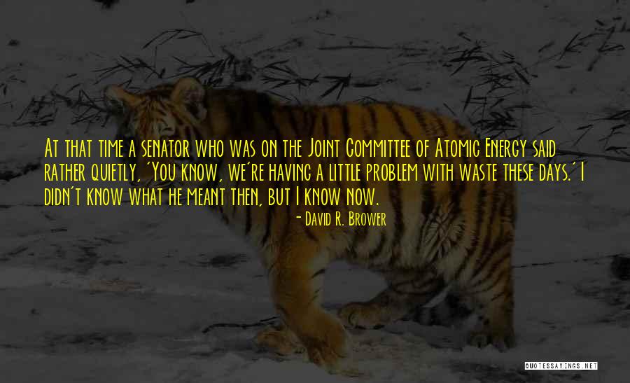 Time Out Of Joint Quotes By David R. Brower Time Out Of Joint Quotes By David R. Brower