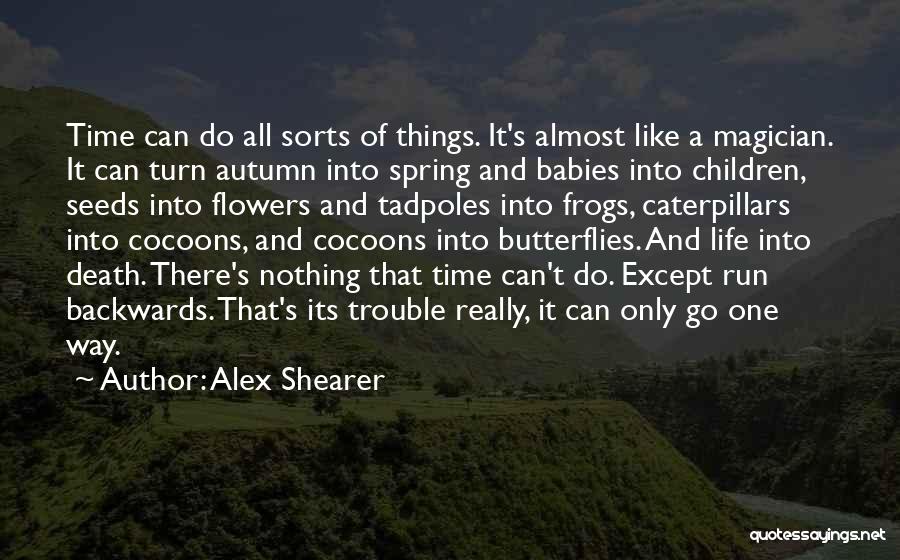 Time Passing And Change Quotes By Alex Shearer