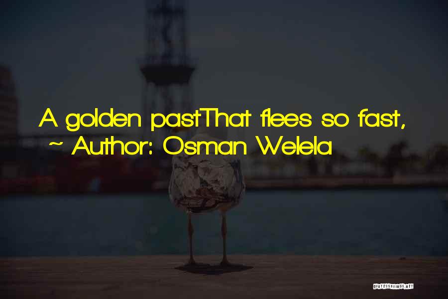 Time Past So Fast Quotes By Osman Welela