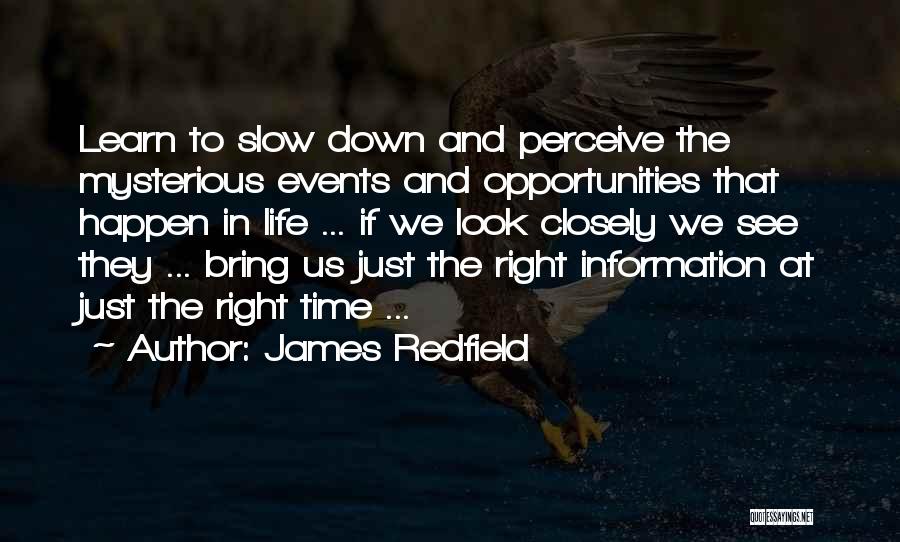 Time Please Slow Down Quotes By James Redfield