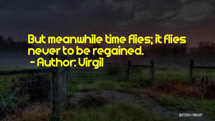Time Regained Quotes By Virgil