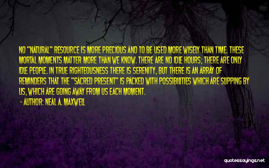 Time Resource Quotes By Neal A. Maxwell