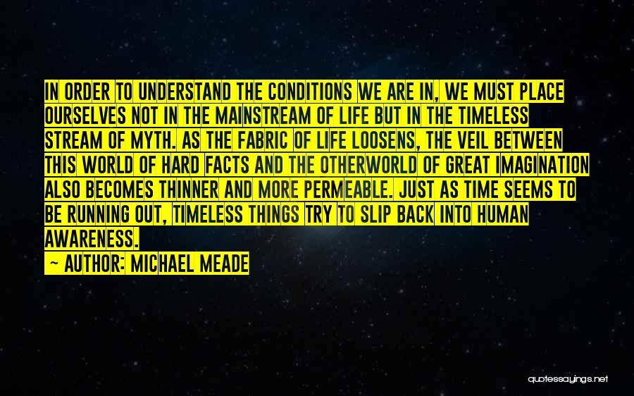 Time Running Out Quotes By Michael Meade