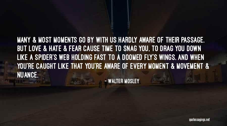 Time S Passage Quotes By Walter Mosley Time S Passage Quotes By Walter Mosley