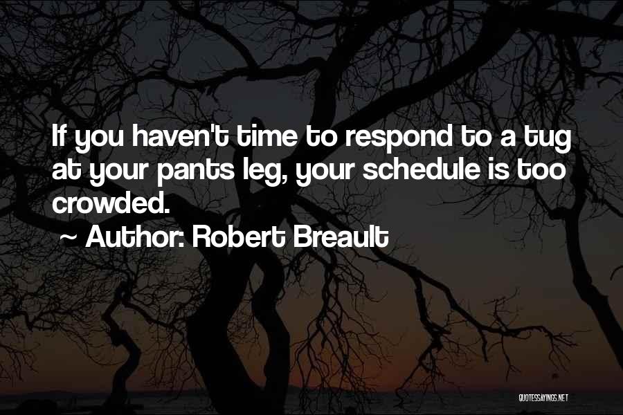 Time Schedule Quotes By Robert Breault