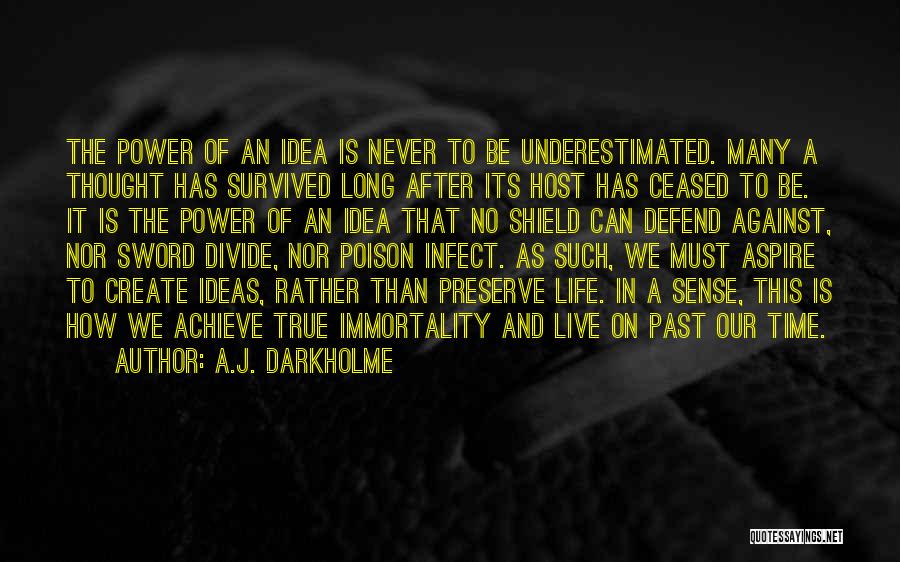 Time Sense Quotes By A.J. Darkholme