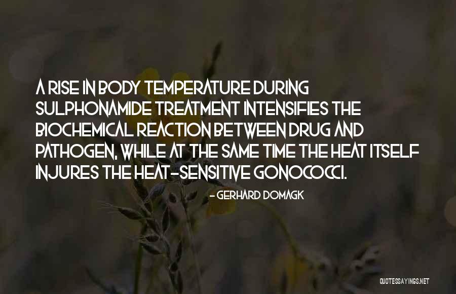 Time Sensitive Quotes By Gerhard Domagk Time Sensitive Quotes By Gerhard Domagk