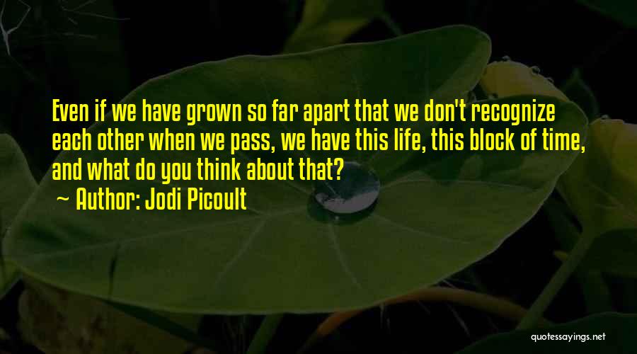 Time Sharing Quotes By Jodi Picoult