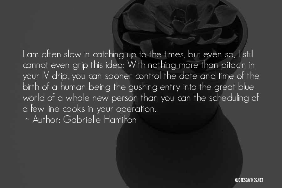 Time So Slow Quotes By Gabrielle Hamilton