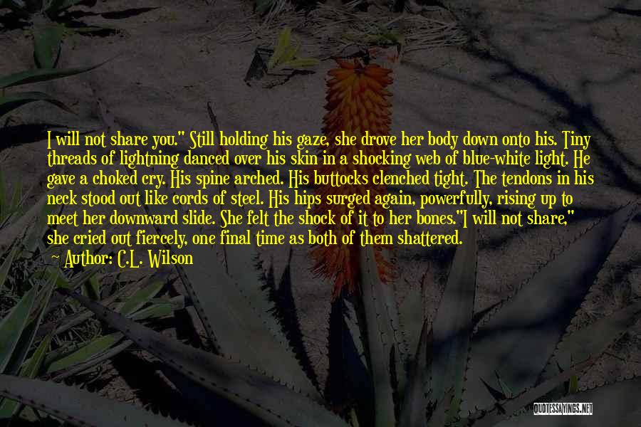 Time Stood Still Quotes By C.L. Wilson