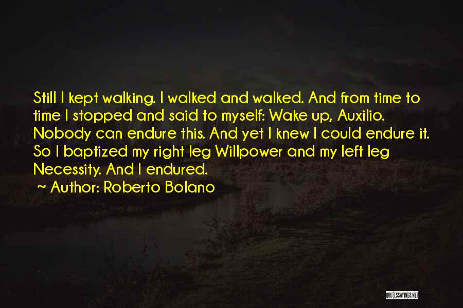 Time Stopped Quotes By Roberto Bolano