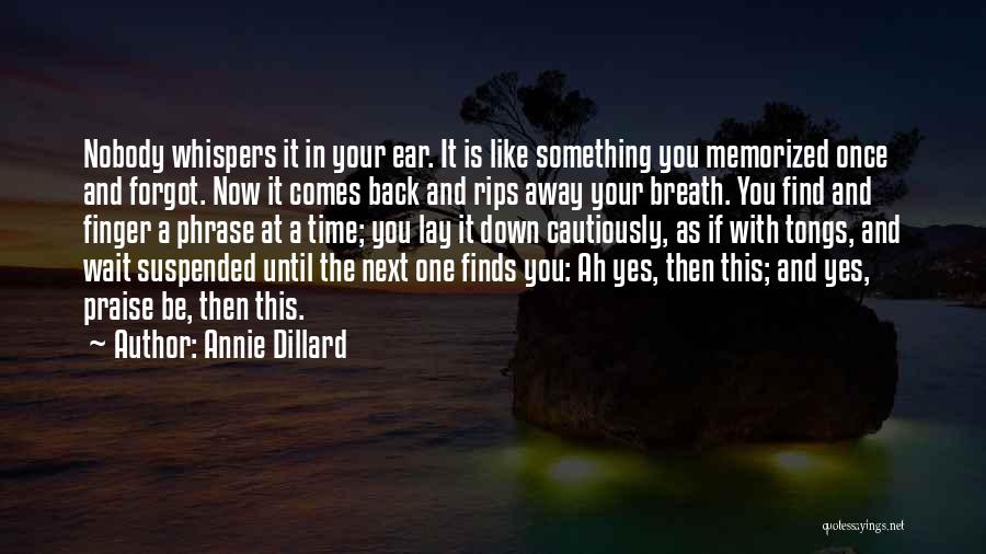 Time Suspended Quotes By Annie Dillard
