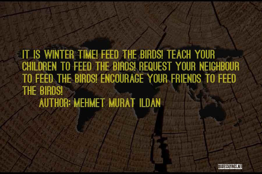 Time Teach Quotes By Mehmet Murat Ildan