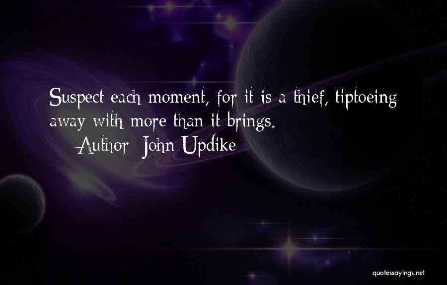 Time Thief Quotes By John Updike