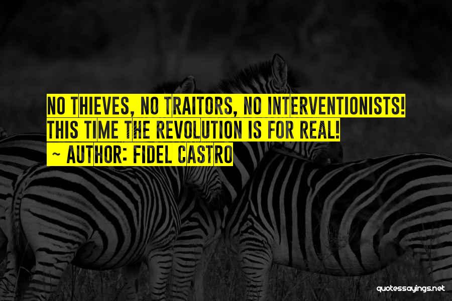 Time Thieves Quotes By Fidel Castro