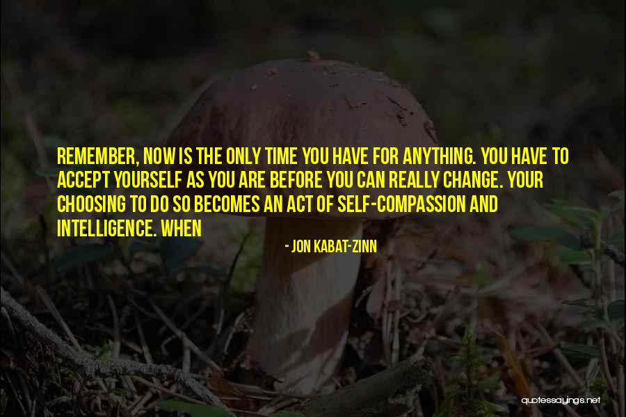 Time To Act Now Quotes By Jon Kabat-Zinn Time To Act Now Quotes By Jon Kabat-Zinn